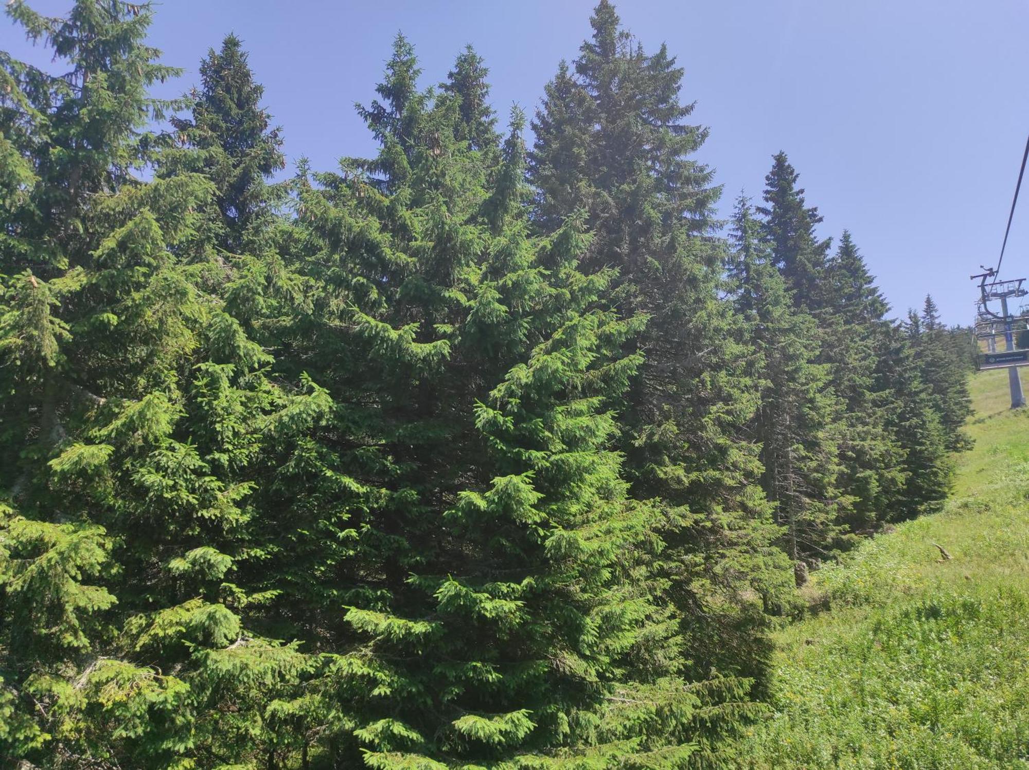 Luksuzni Dupleks Kopaonik Ngoại thất bức ảnh