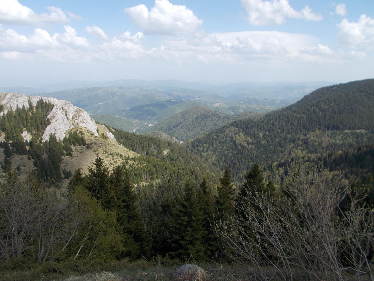 Luksuzni Dupleks Kopaonik Ngoại thất bức ảnh