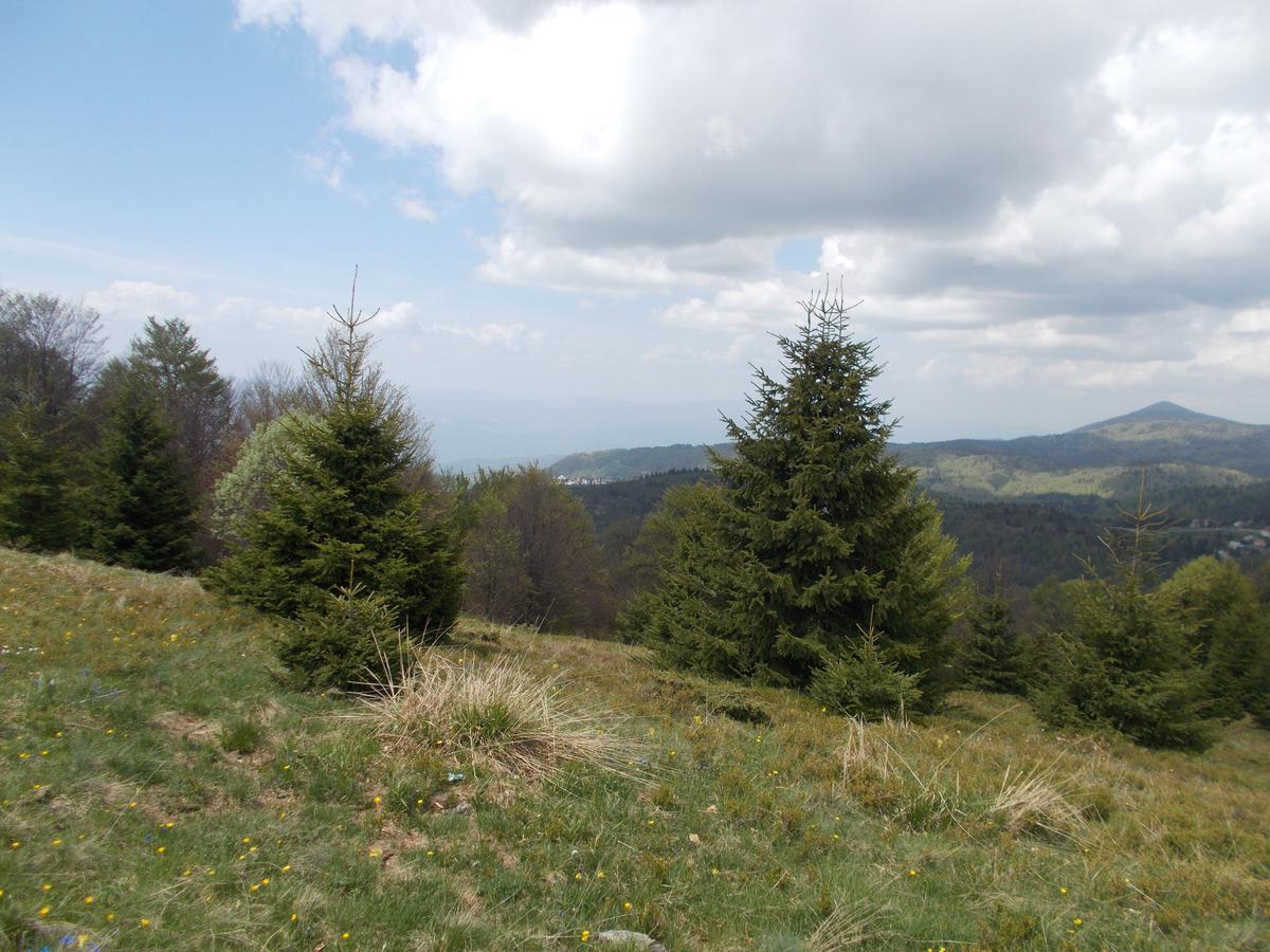 Luksuzni Dupleks Kopaonik Ngoại thất bức ảnh