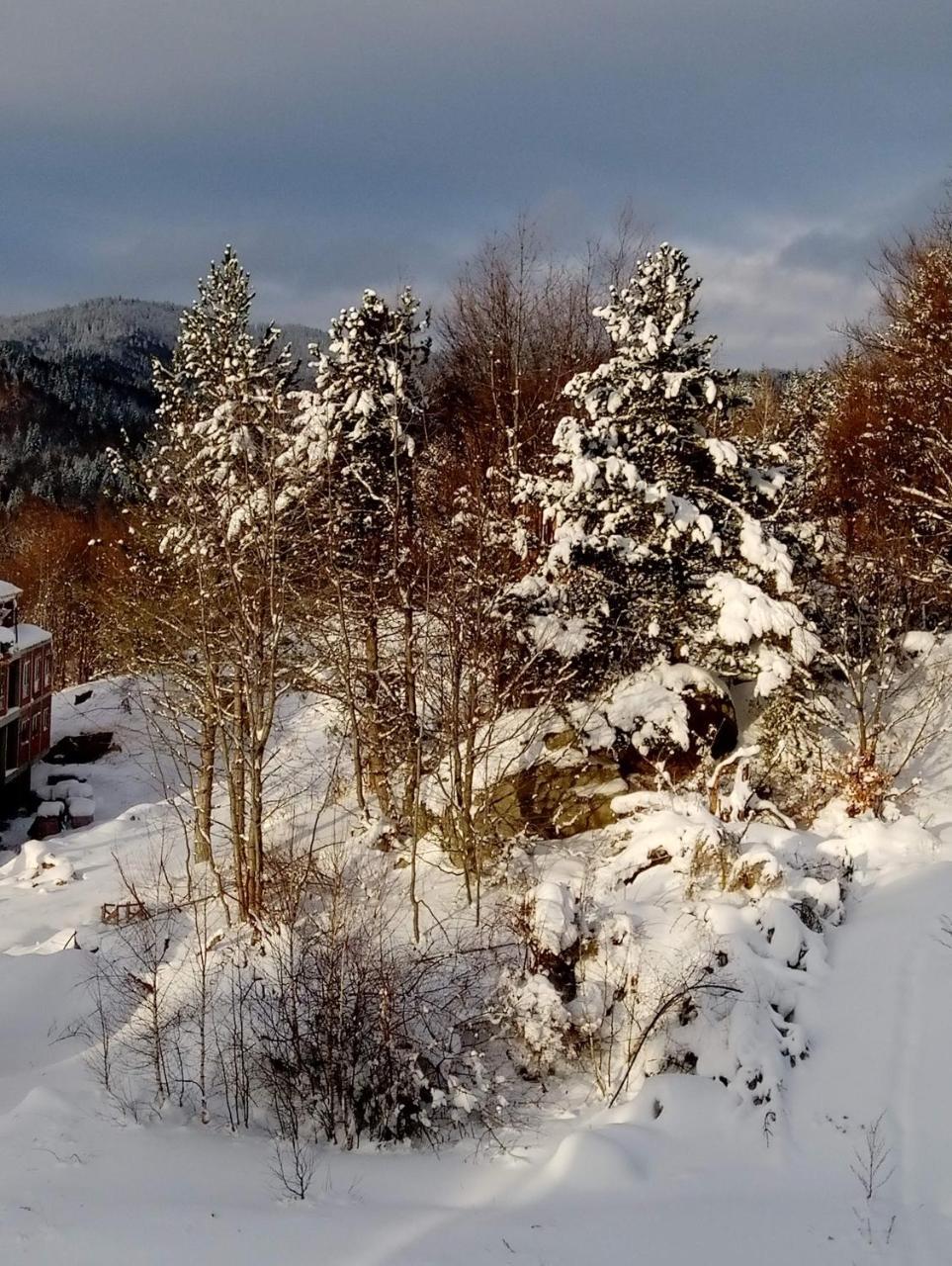 Luksuzni Dupleks Kopaonik Ngoại thất bức ảnh